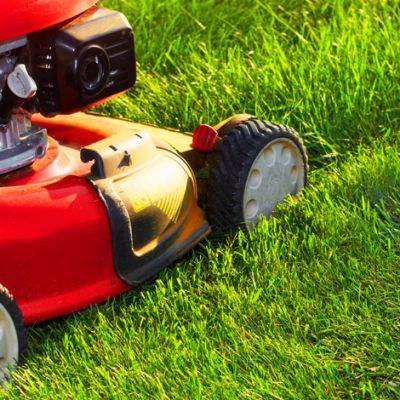 Red lawn mower mowing grass