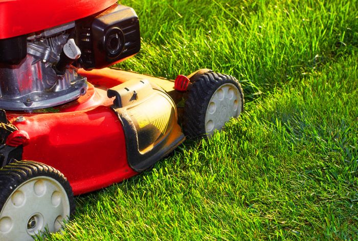 Red lawn mower mowing grass
